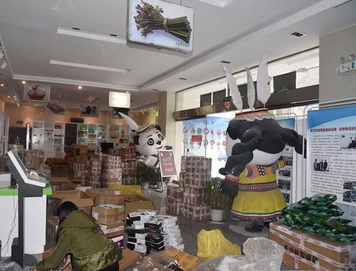 整合规范物流快递，打造电商生态体系下的普通货物仓储服务新格局